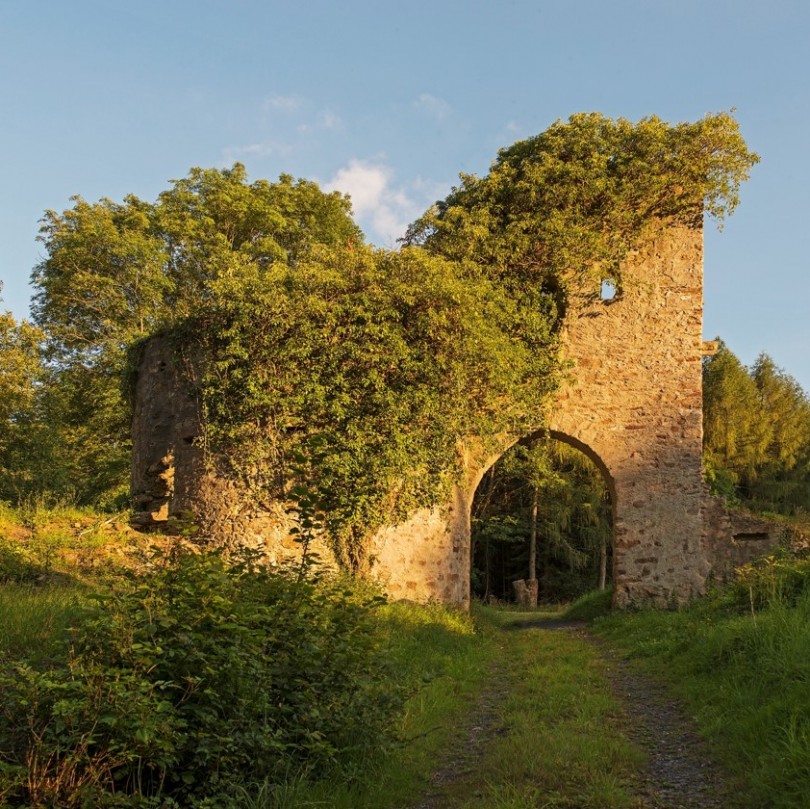 Ruine auf dem Hofgut Mappen. 