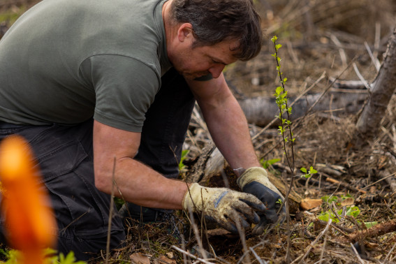 Ein Mann in Arbeitskleidung pflanzt Bäume beim Nachhaltigkeitsprojekt in Hessen