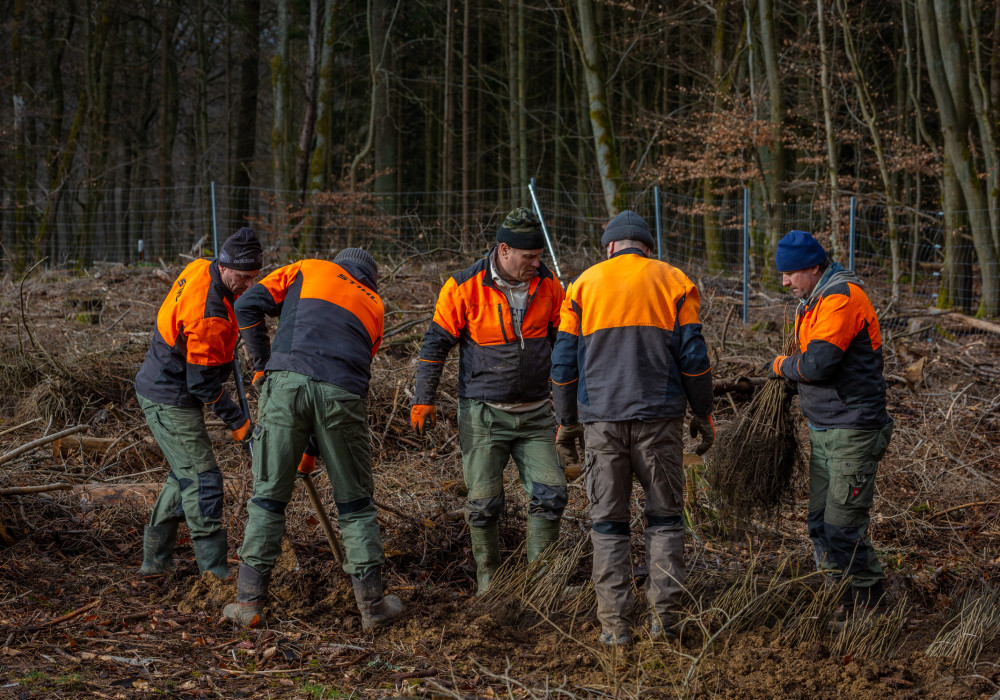 Nachhaltigkeit in Hessen: mehrere Personen in orangen Jacken pflanzen Bäume