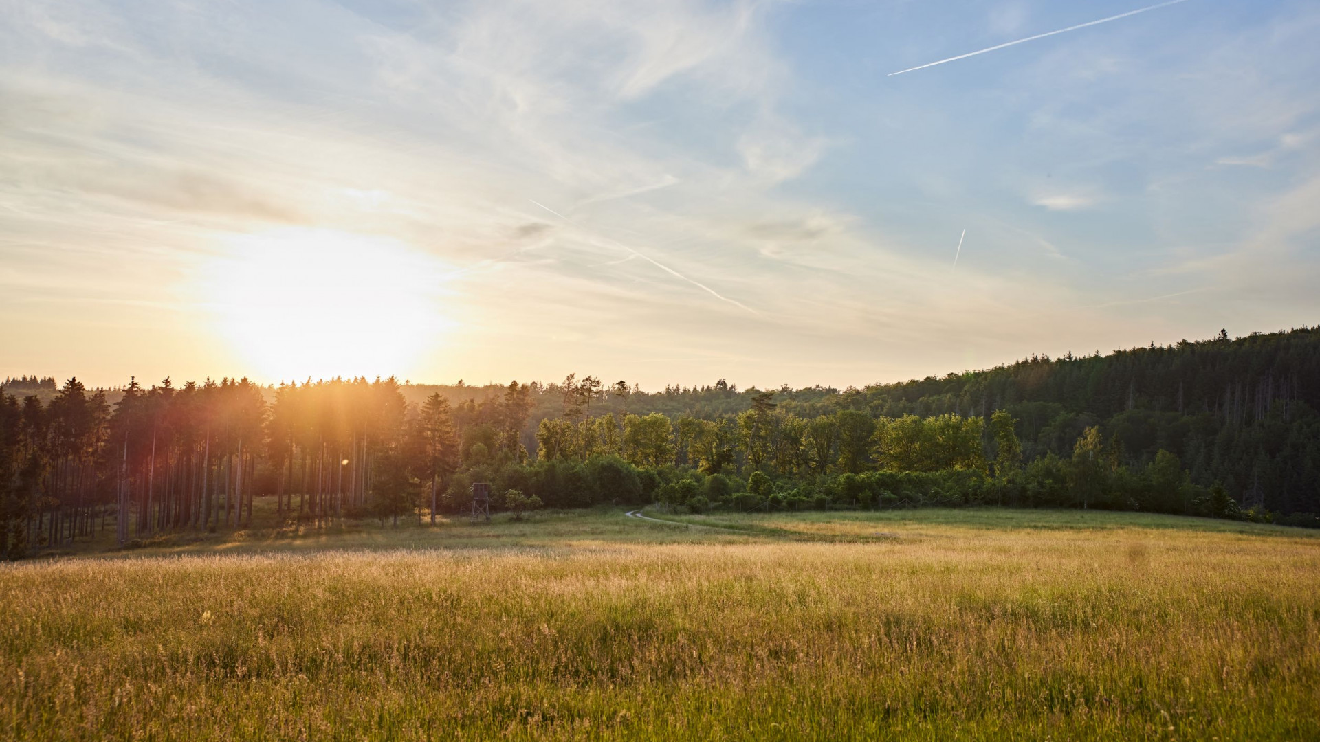 Sommerlandschaft